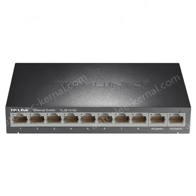 10-port 100 Gigabit Ethernet switch
