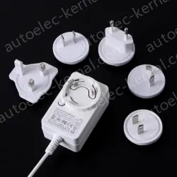 Multi-specification interchangeable pin power adapter 24V2A