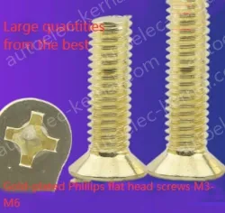 Golden Flat Head Screws M3*13