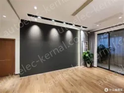 X21S main lighting spotlight 12W