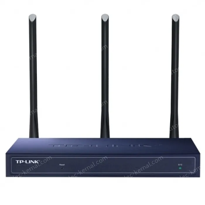 Enterprise-grade 450M wireless VPN router