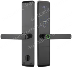 Smart door lock A81