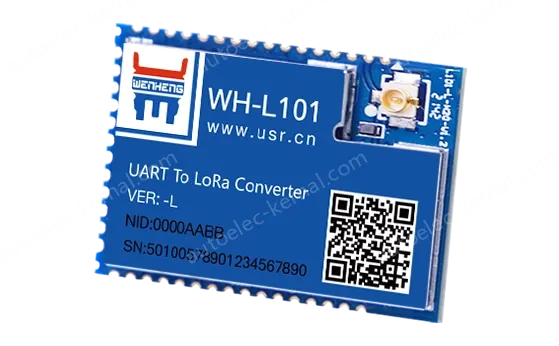 LoRa module