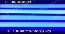 T5 4W BL insect killer lamp