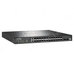 24 port All-100 Gigabit Layer 3 network management switches