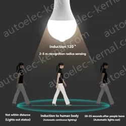 LED human body sensor light bulb-12W